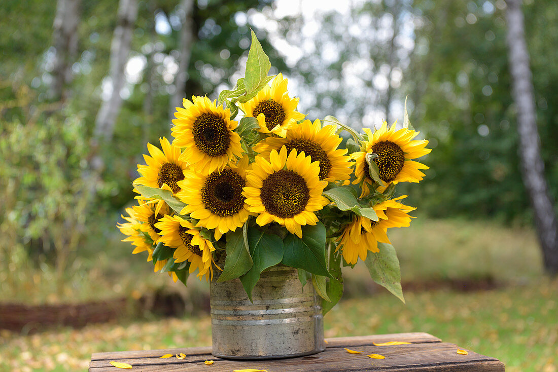 Sonnenblumenblumen auf einem Tisch im Garten