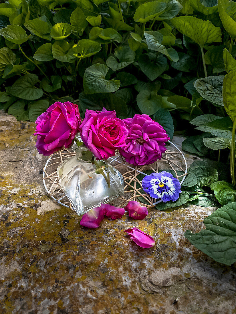 Kleine Dekoidee mit Rosenblüten und Stiefmütterchen