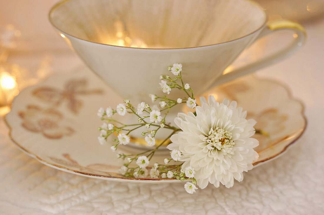 Gilt-edged china teacup with white chrysanthemum and gypsophila on saucer