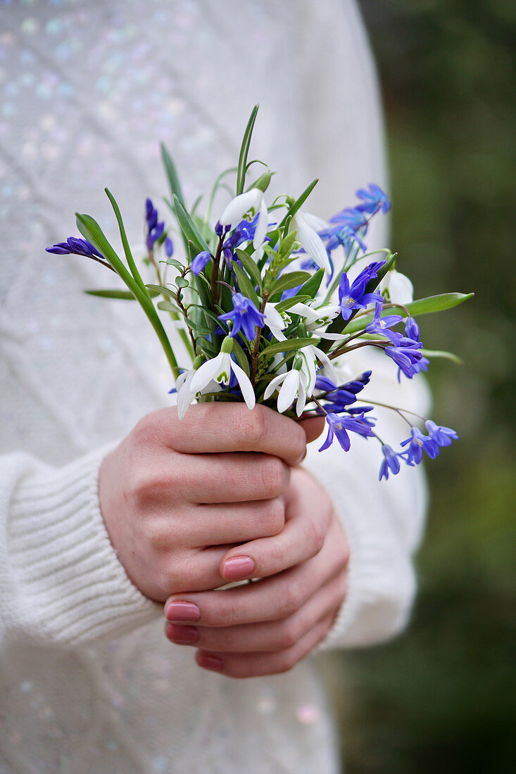 Woman holds bouquet of snowdrops and alpine squill