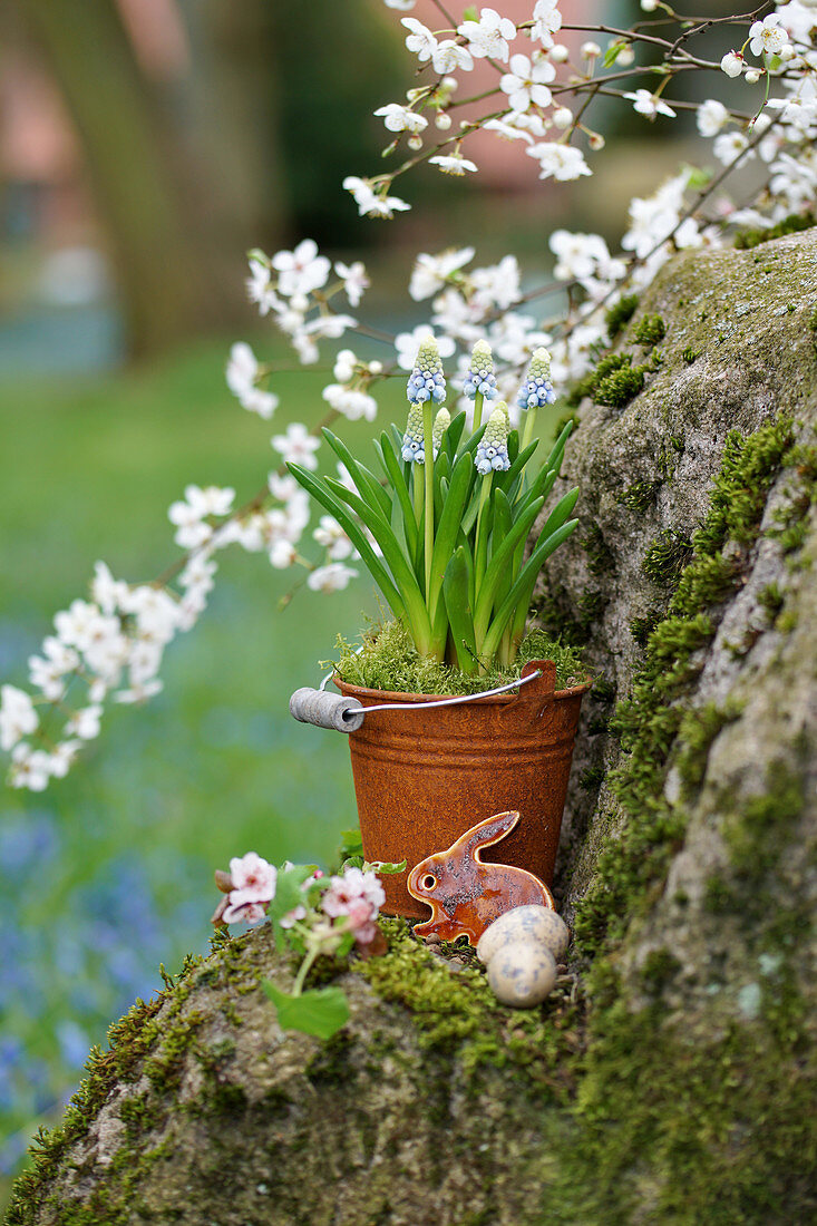Grape hyacinths in small rusty bucket, Easter bunny and Easter eggs