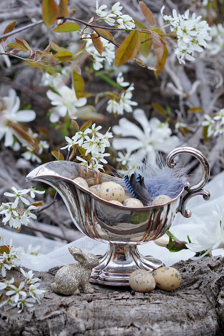 Silberne Sauciere als Osternest mit Federn vom Eichelhäher, Blütenzweige von Felsenbirne