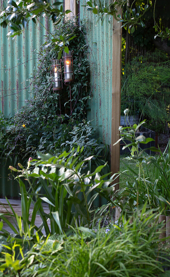 Privacy screens made from recycled sheet metal overgrown with clematis in the garden