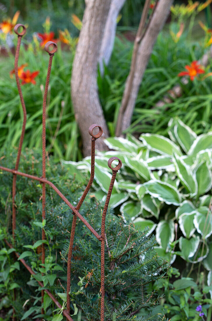 Rusty plant supports in the garden