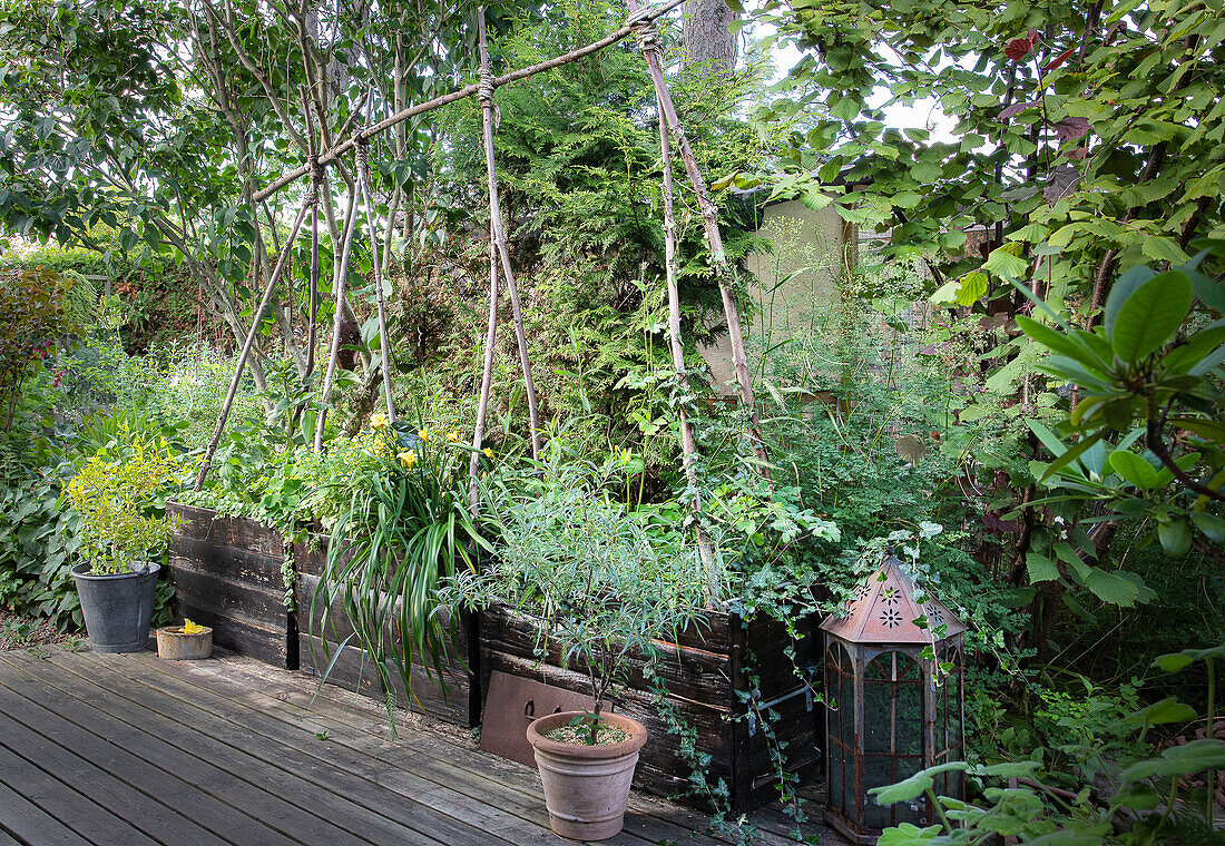 Wooden deck with raised beds in front of lush plants