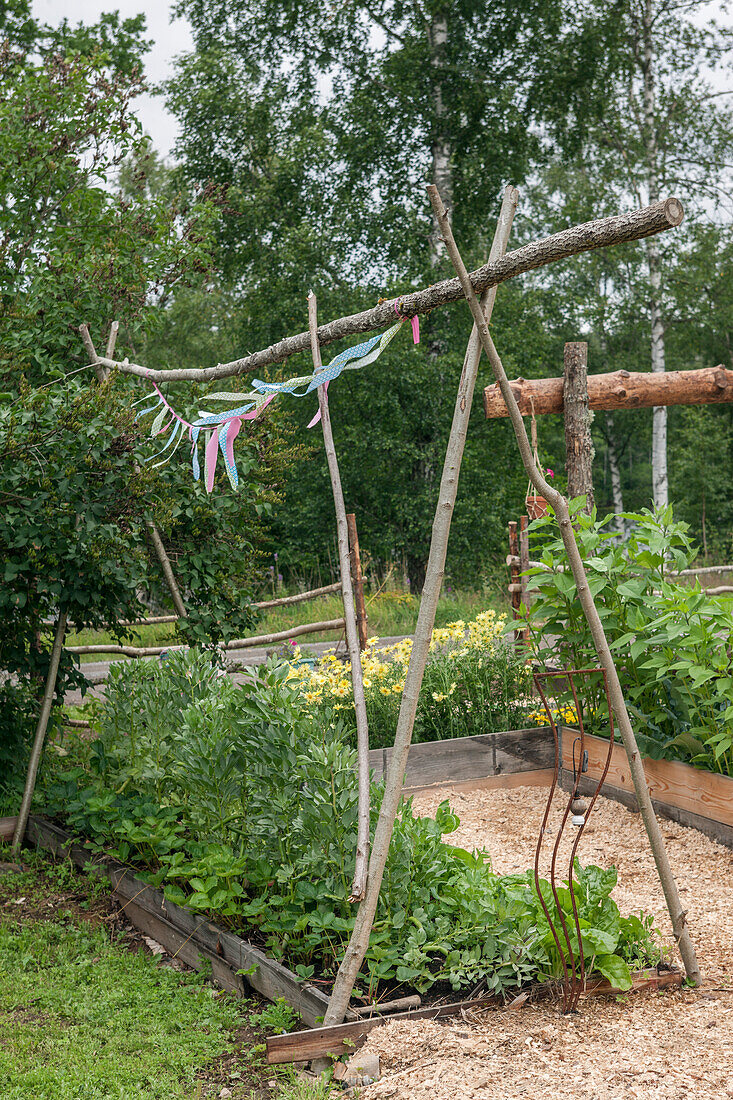 Branches with colored ribbons and as a climbing aid in the vegetable garden