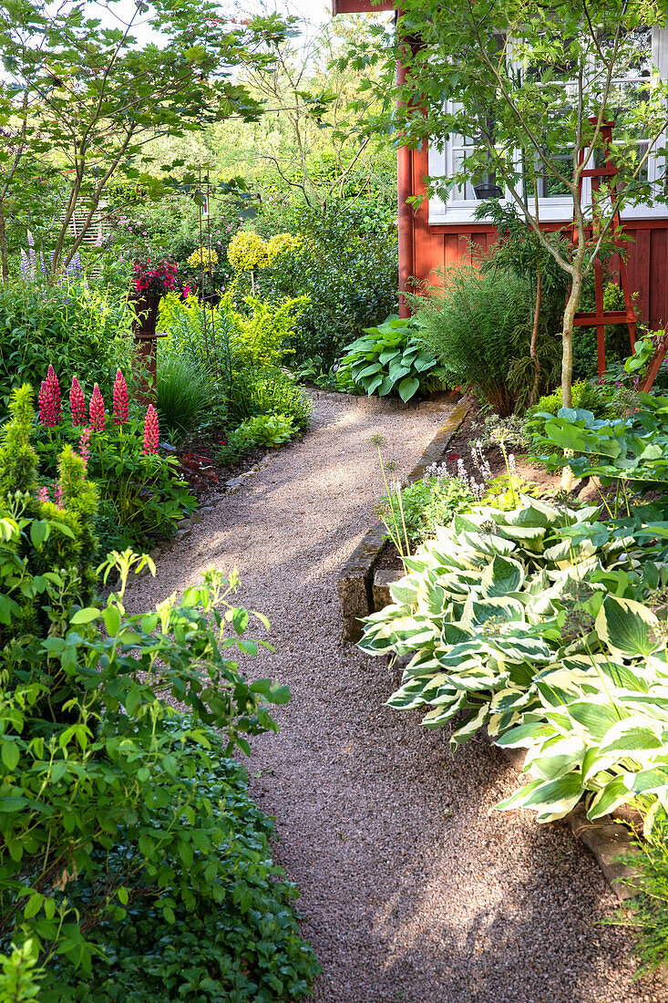 Gravel path winding through dense perennial garden