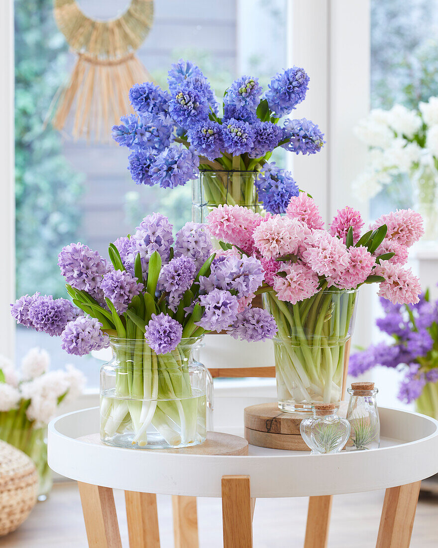 Hyacinthus bouquet combination