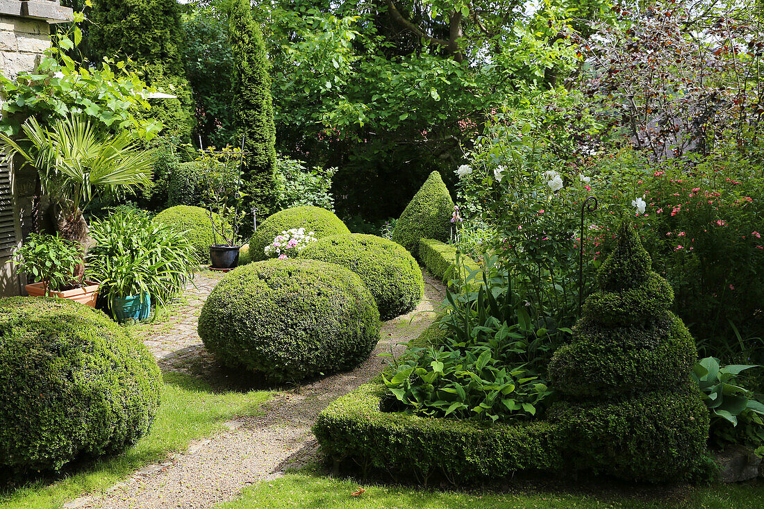 Formal garden with topiary trees