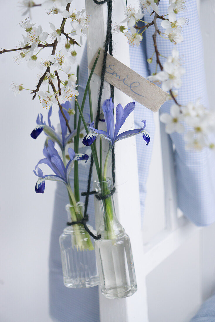 Kleine Glasvasen mit Iris und Pflaumen-Blütenzweigen an der Stuhllehne