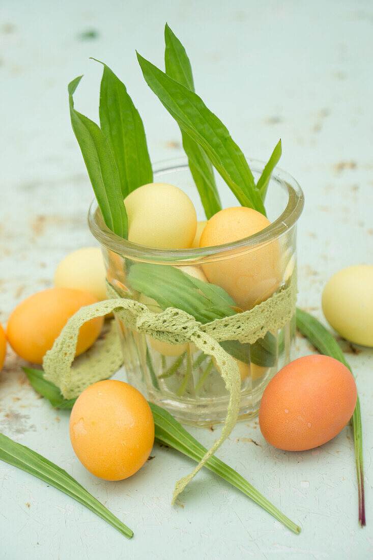 Einmachglas gefüllt mit Eiern in gelb-orange Tönen und Spitzwegerich