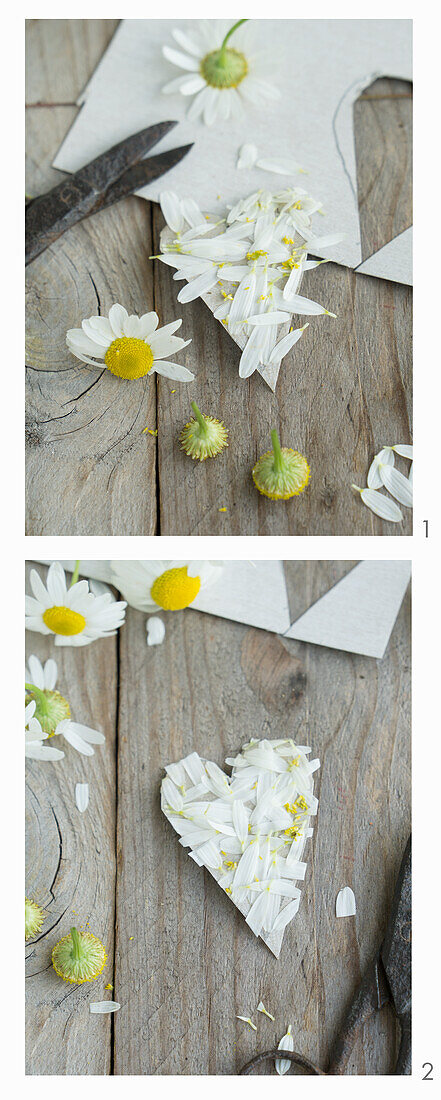 Make a heart from camomile flowers