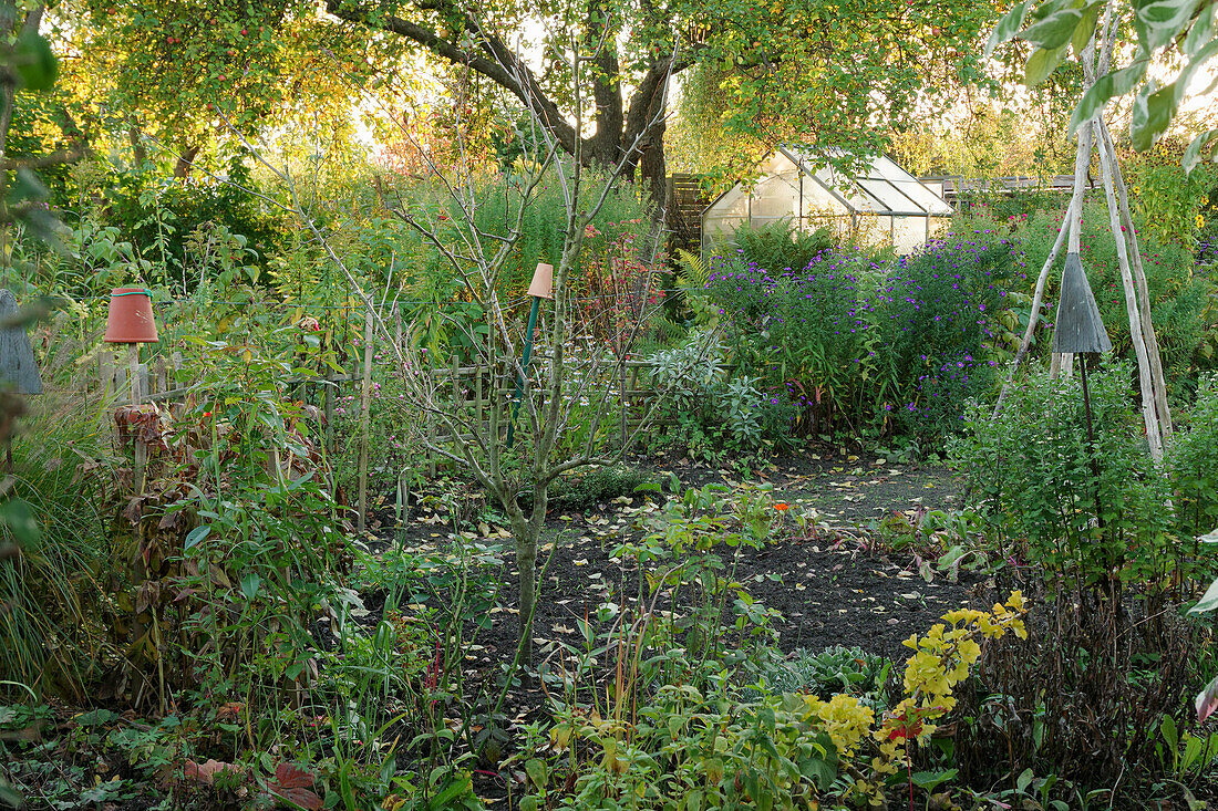 An autumnal atmosphere in a garden with a greenhouse