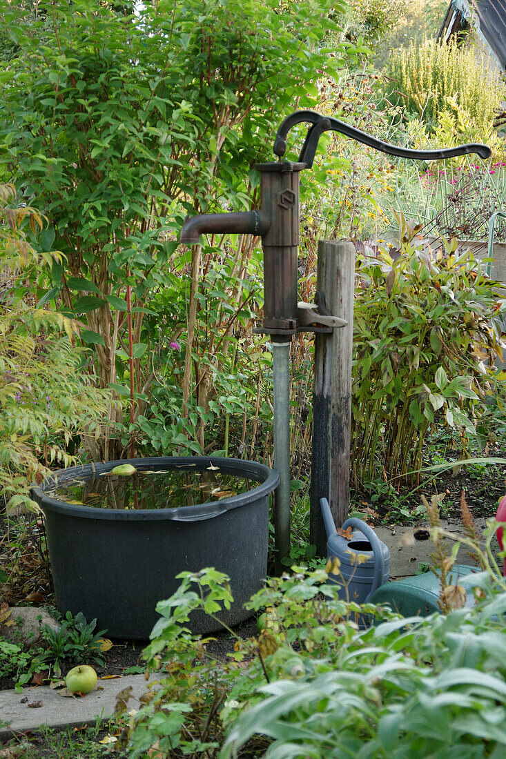 A pump in an allotment garden