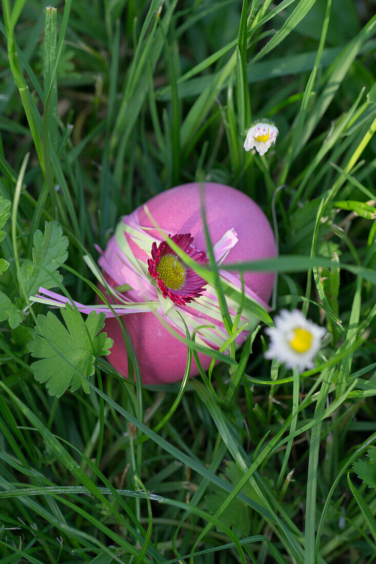 Easter egg decorated with ribbon and daisy blossom, lying in the grass