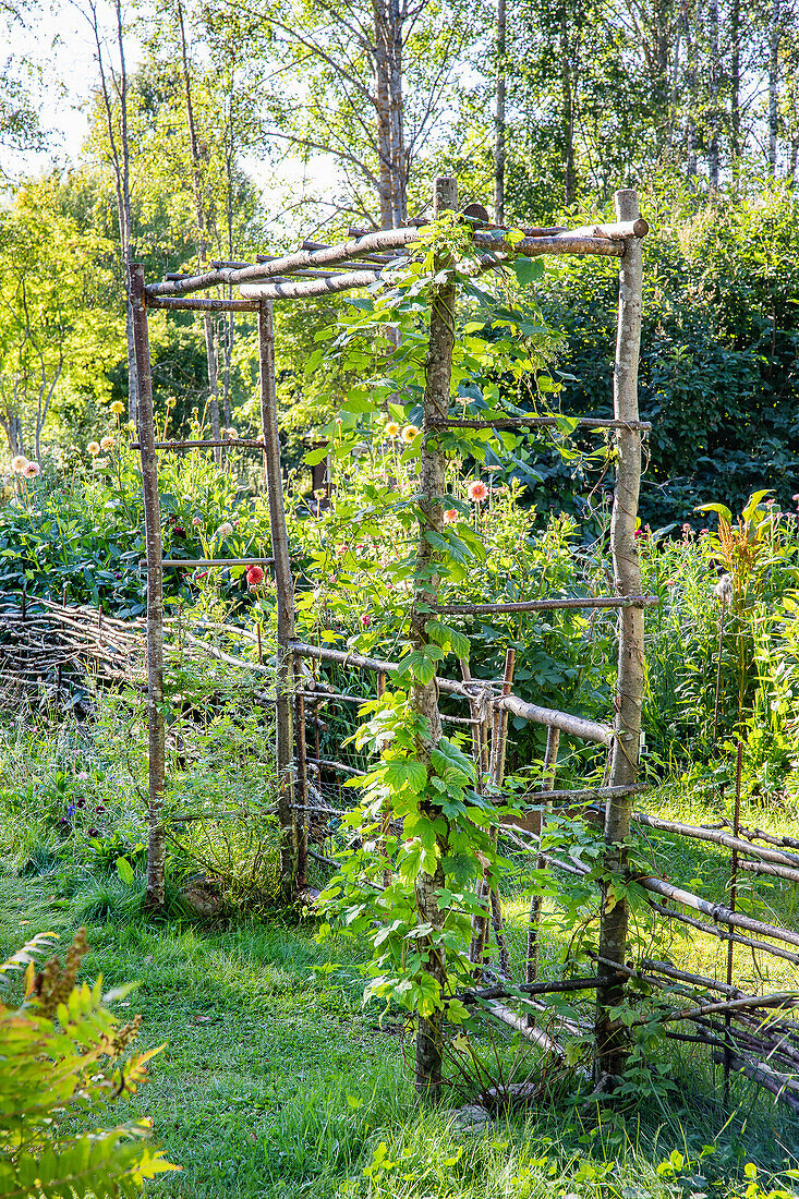 Eingang mit DIY-Portal aus Birkenstämmen zum Obstgarten
