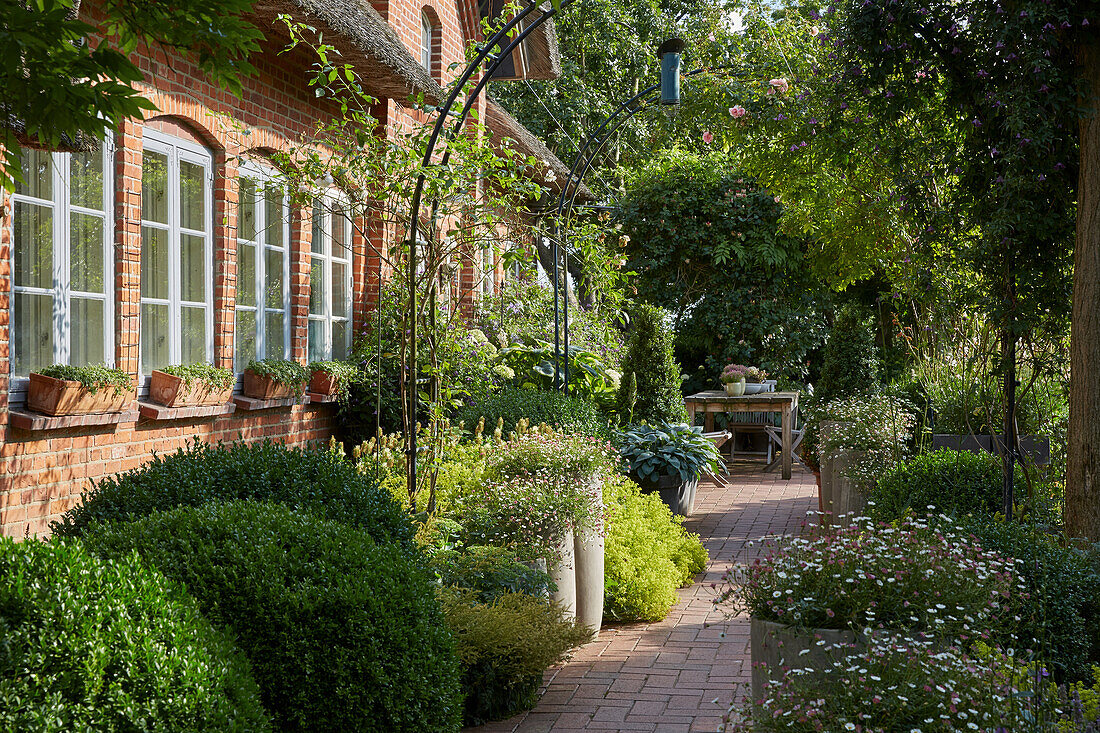 Vielfältiges Terrassengrün am Bauernhaus, Schleswig-Holstein, Deutschland