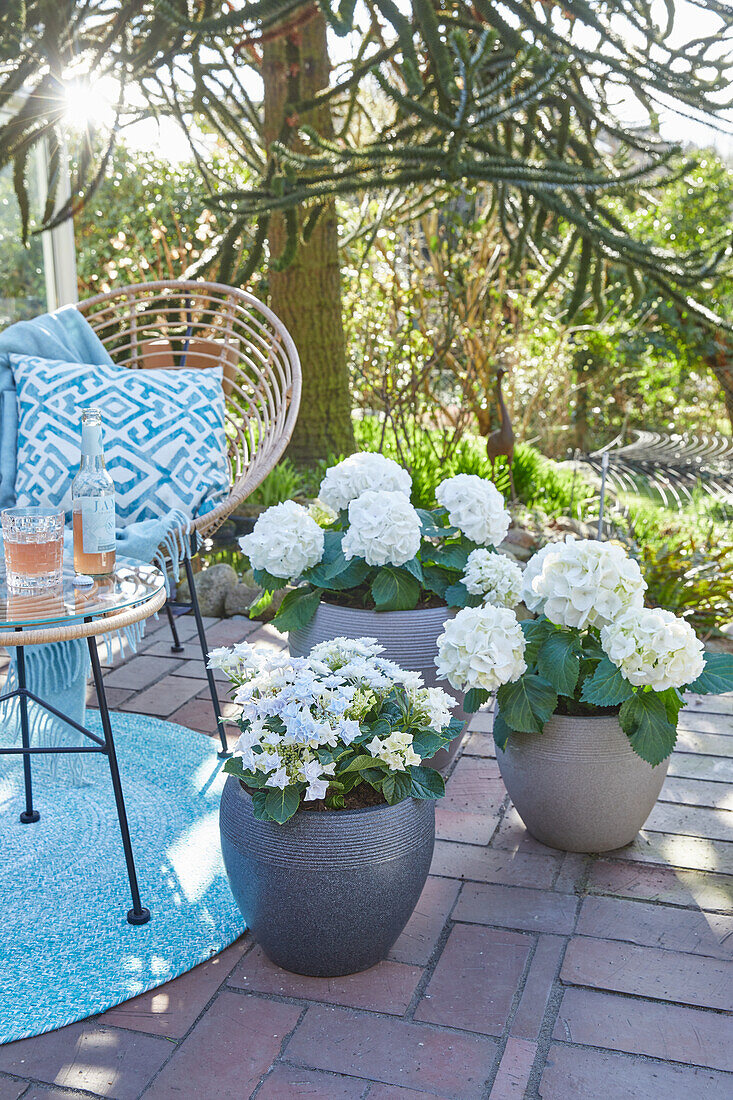 Planters on the patio with a small seating area