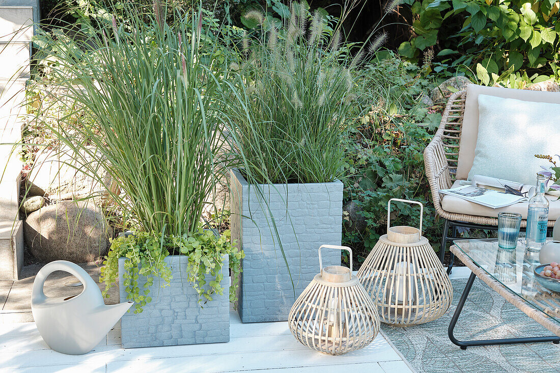 Pflanzenkübel mit Lampenputzergras als Sichtschutz und Bambus-Laternen auf der Terrasse