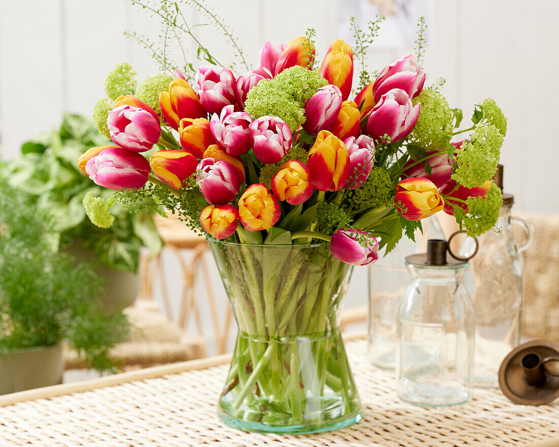 Tulpenstrauß (Tulipa) 'Angels Share' und 'Sopran'
