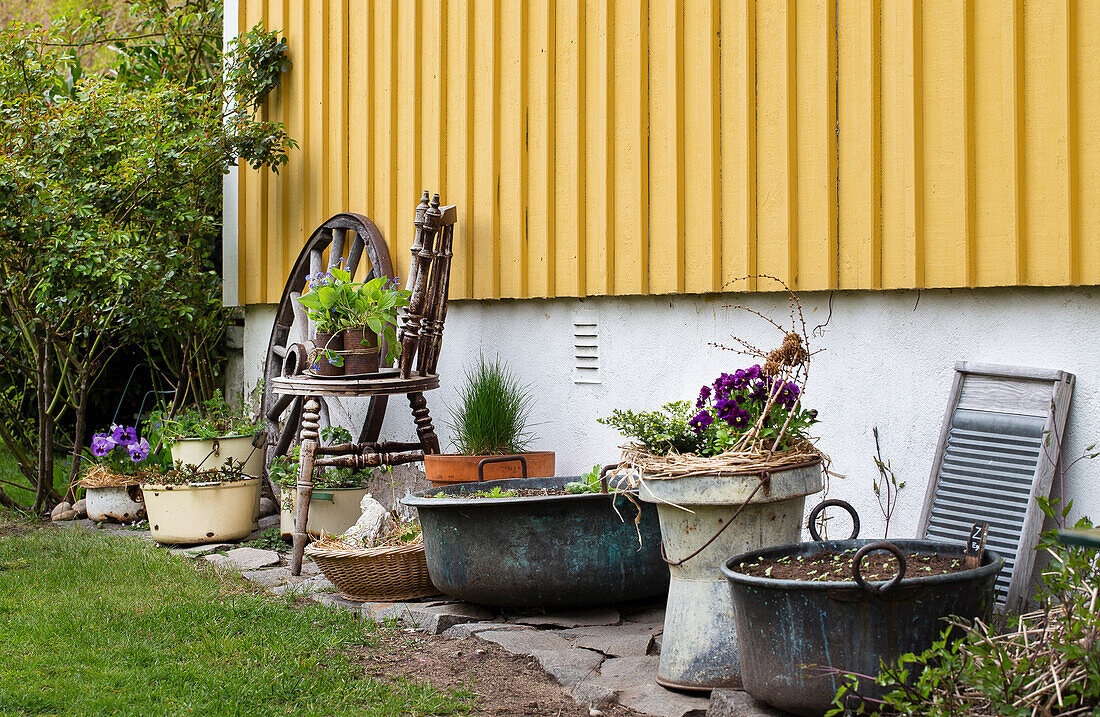 Vintage Töpfe mit Frühlingsblumen bepflanzt am Haus entlang