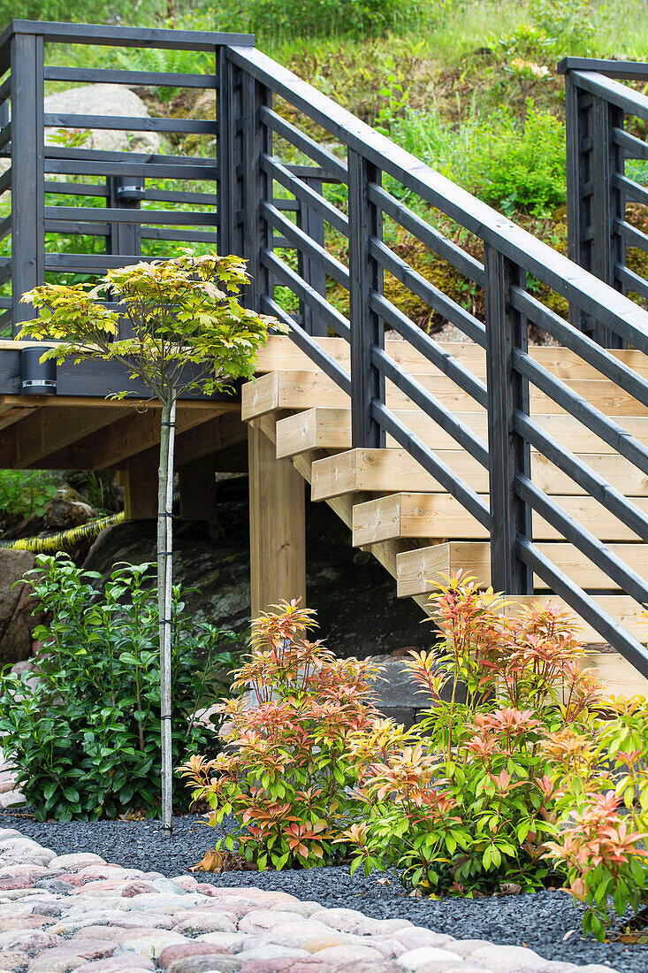 Outside staircase with black railing, next to it lavender heather (Pieris) and shrub rose (Camellia japonica) in the bed