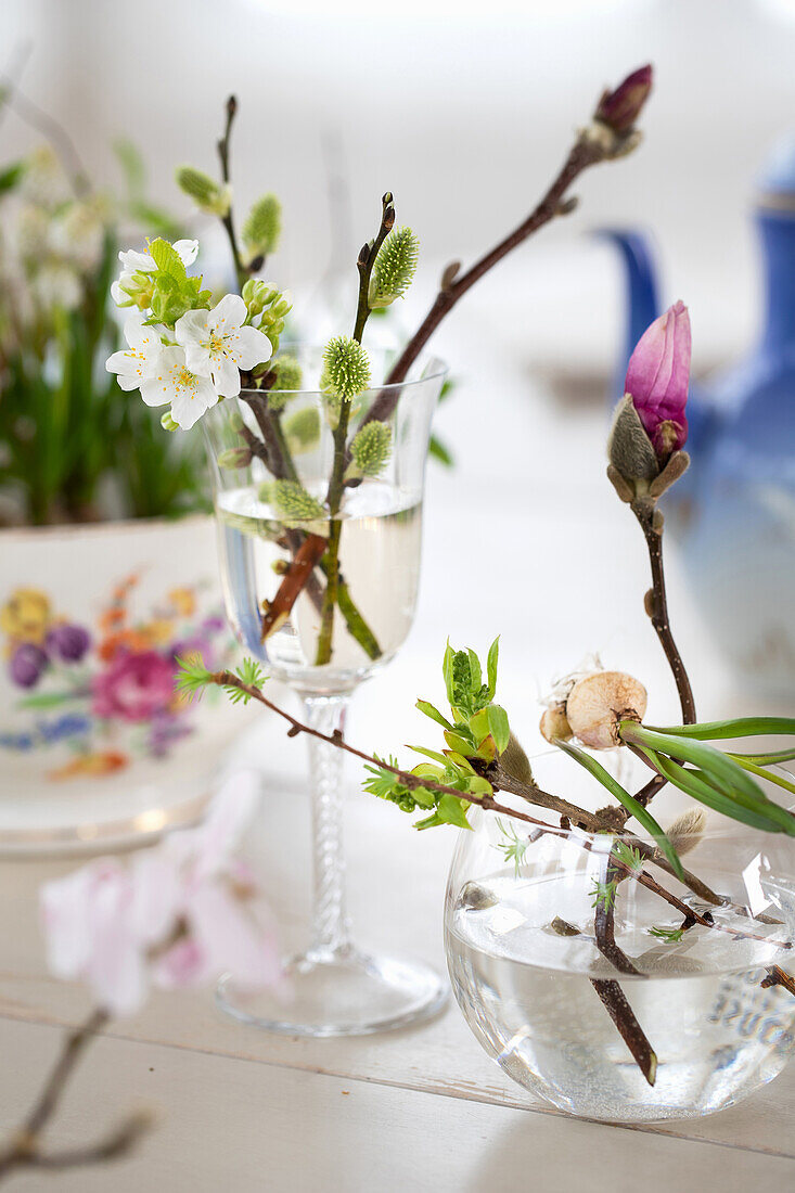 Magnolienblüten, Kirschblüten und Frühlingszweige in Gläsern