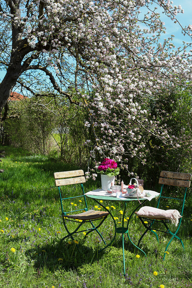Kleiner Tisch mit Stühlen unter blühendem Obstbaum im Garten