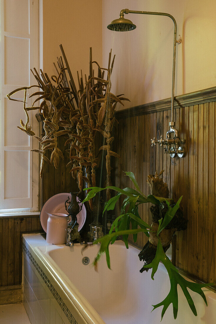 Bathtub with vintage shower fitting and plants