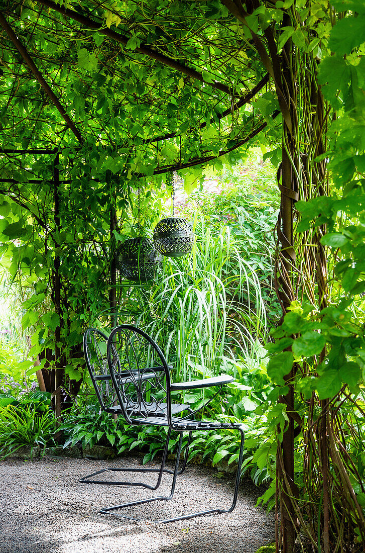 Metal chair under a green canopy of leaves