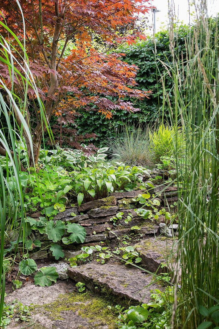 Garden path with stone slab steps