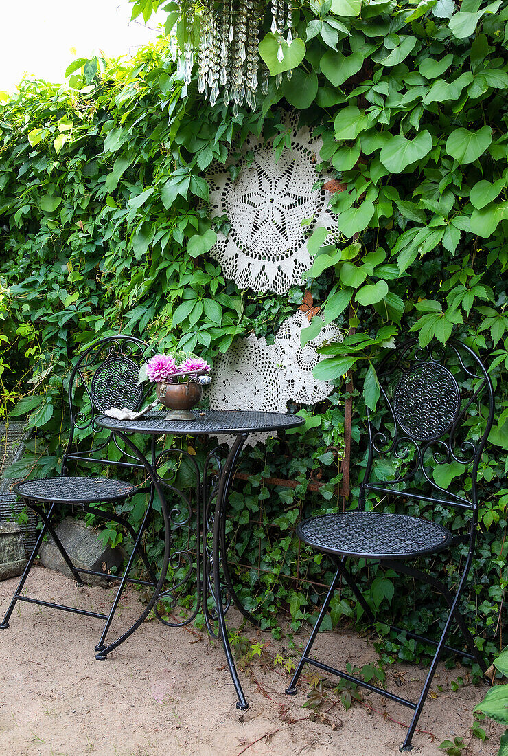 Seat in the garden in front of a green wall of plants