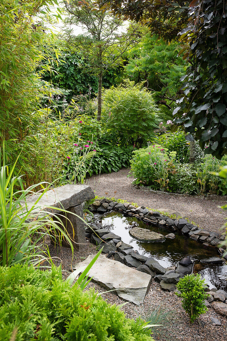 Garden path with pond and diverse plants in summer