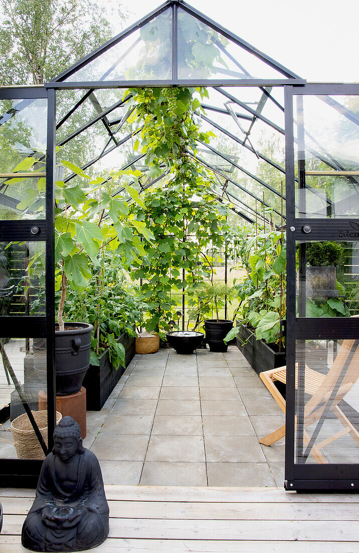 Modern greenhouse with plants and Buddha statue