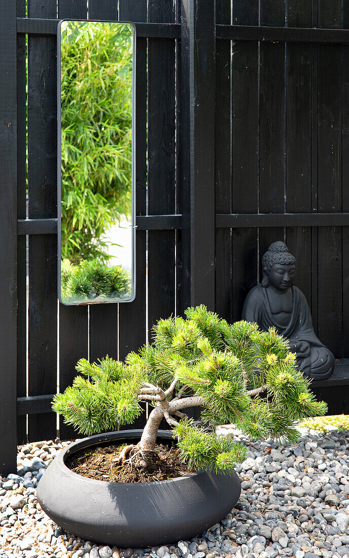 Bonsai tree, Buddha figure and black wooden fence