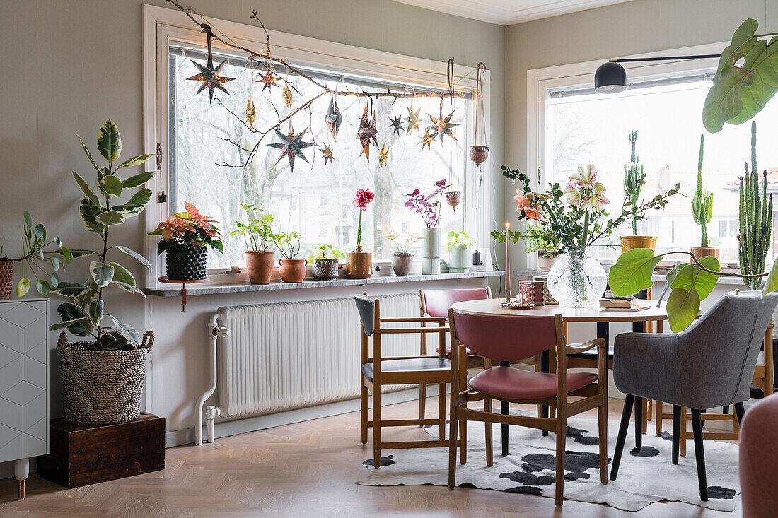 Dining room with lots of plants and large windows