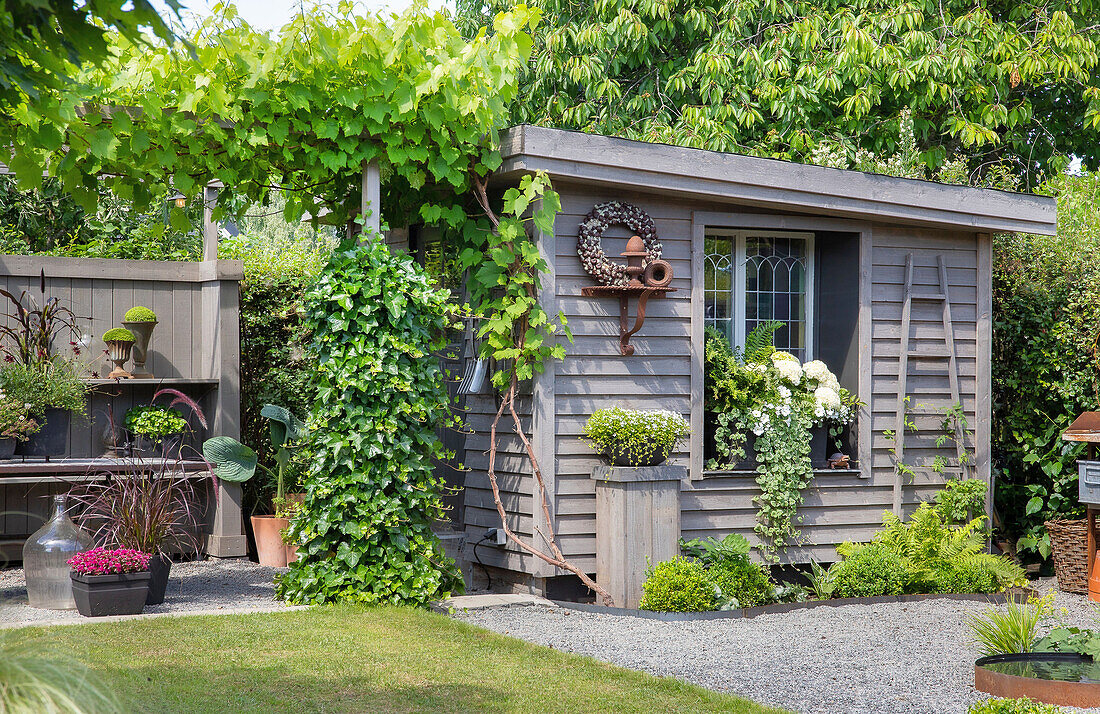 Idyllic garden with garden shed and lush greenery in Malmö