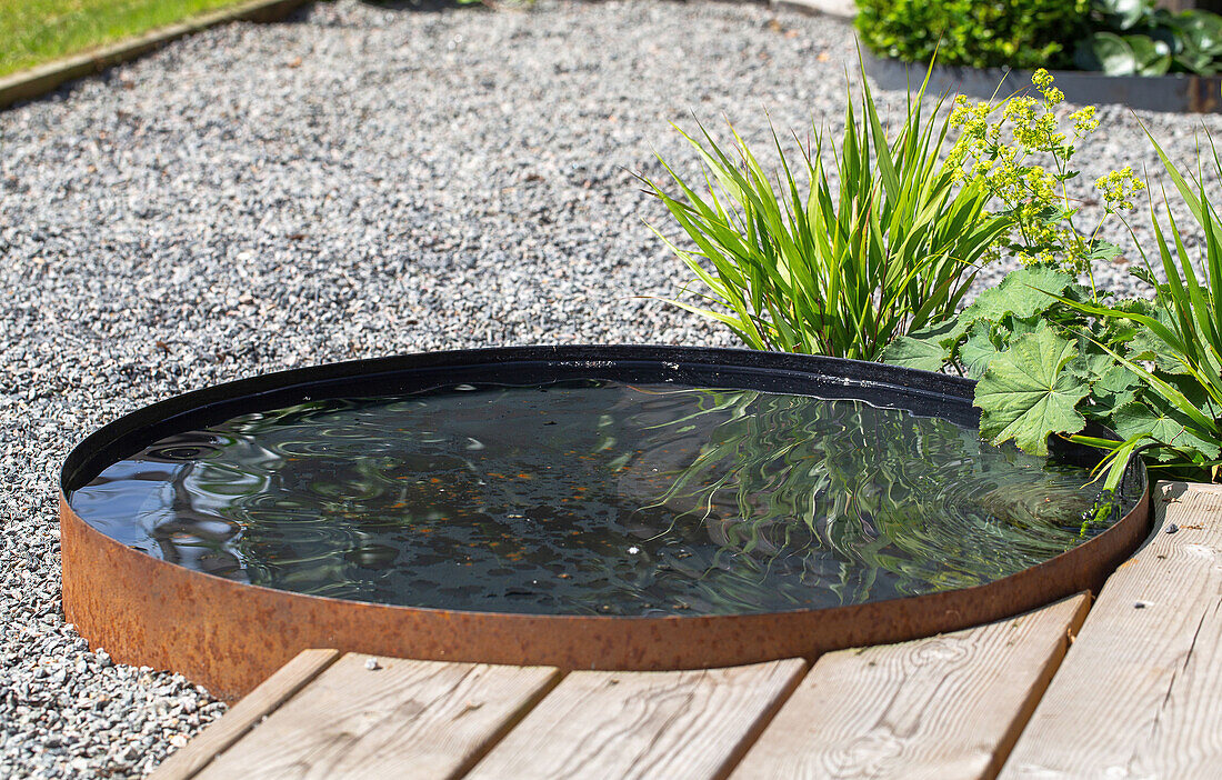 Water basin in the garden, minimalist design