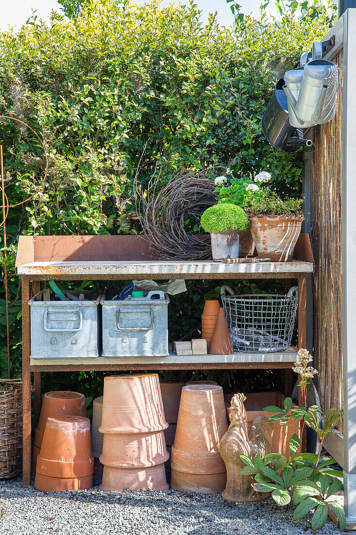 Rustic plant table with terracotta pots in a sunny corner of the garden