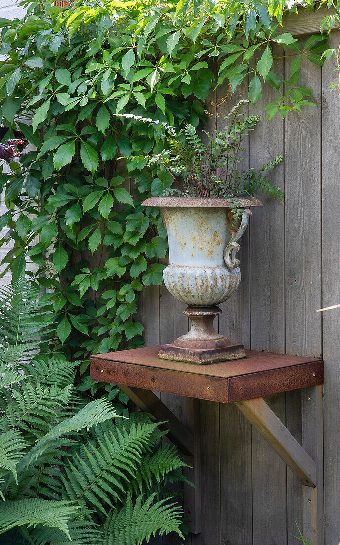 Rusty wall shelf on fence with urn in garden