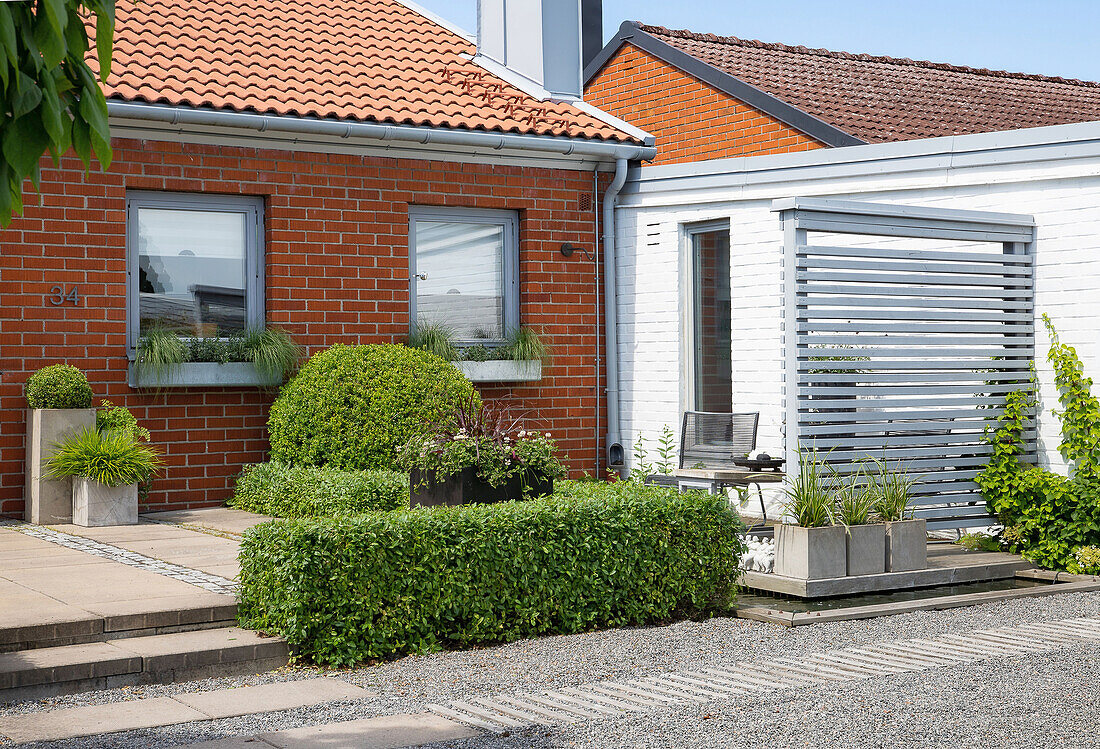 Front garden of a terraced house with topiary boxwood and privet