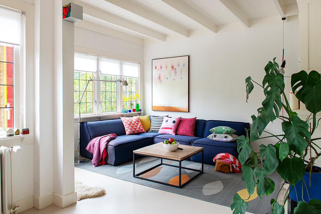 Living room with blue corner sofa, colorful throw pillows and monstera