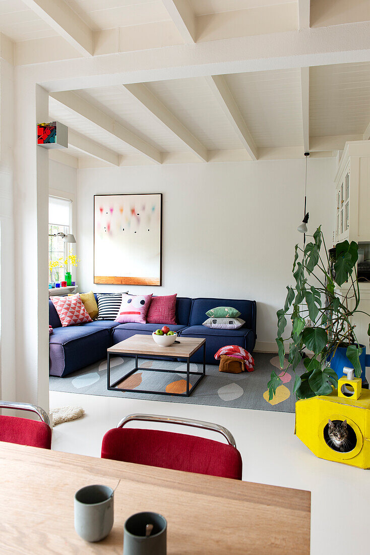 Living room with dark blue sofa, colorful pillows and large houseplant