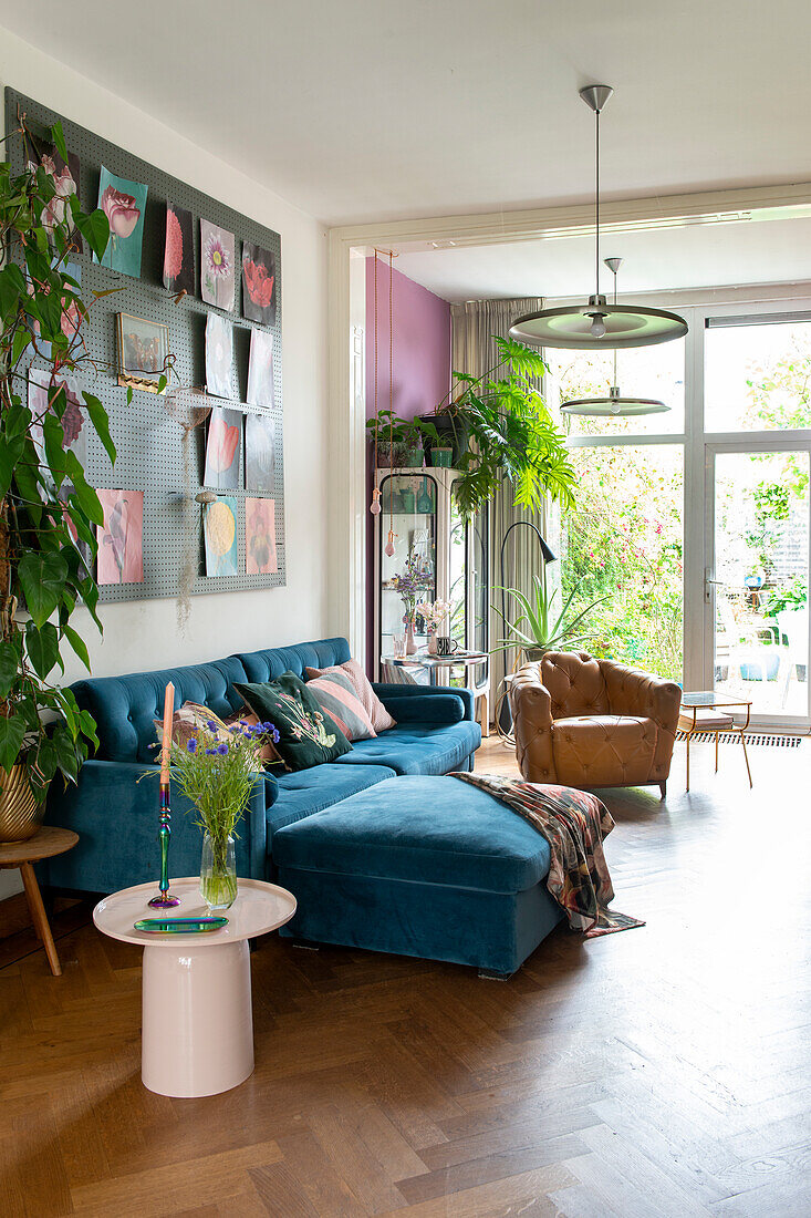 Living room with blue velvet sofa and assorted houseplants