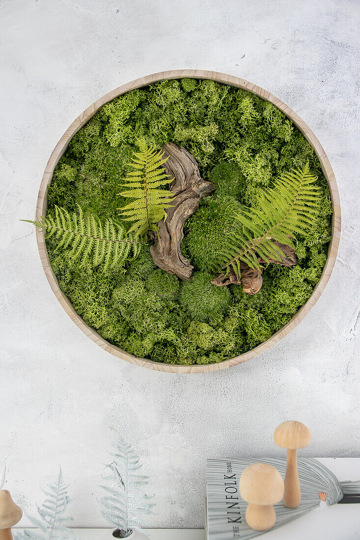Wall garden with ferns and moss in a round frame