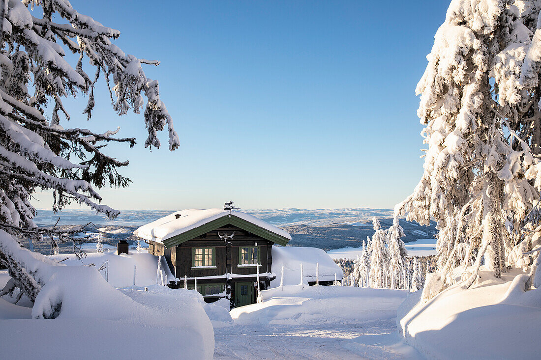 Verschneites Berghaus mit Tannen bei klarem Winterhimmel