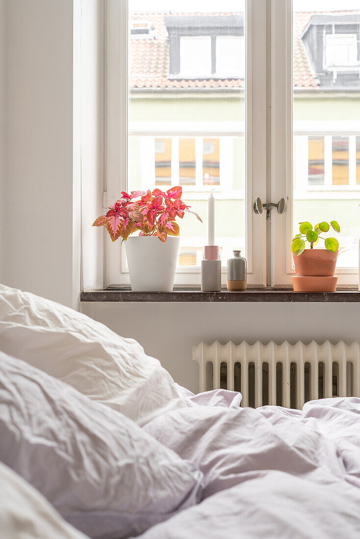 Fensterbank mit Zimmerpflanzen und Kerze im Schlafzimmer