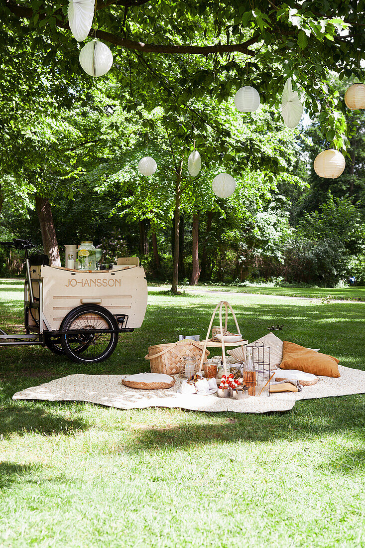 Summer picnic in the park with blanket, cushions and drinks trolley