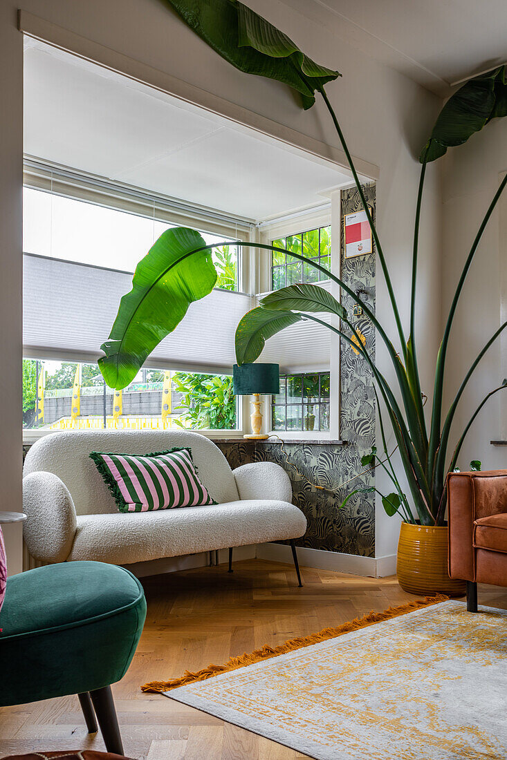 Living room with white sofa, green armchair and large houseplant