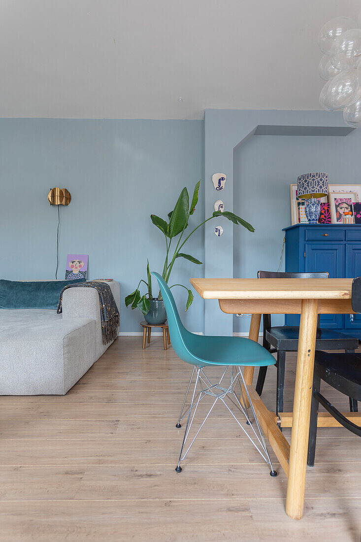 Wohnzimmer mit blauer Wandgestaltung, grauem Sofa und Holztisch